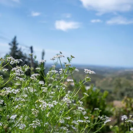 Willa Casa Da Colina