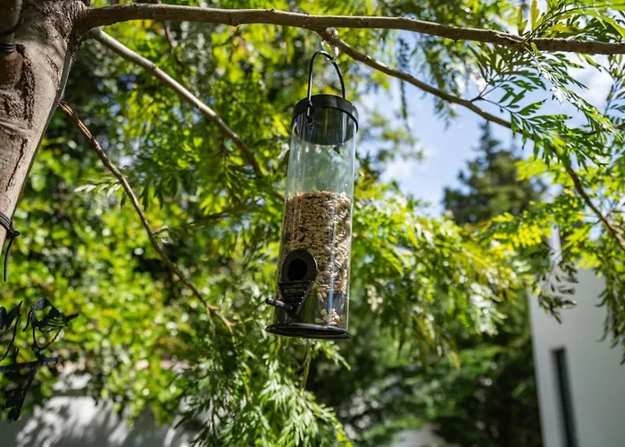 Villa Casa Da Colina